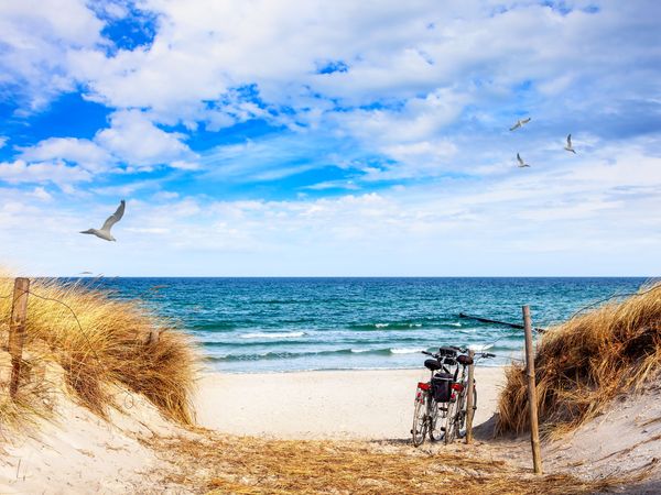 3 Tage Meist mit Rückenwind Schützenhof Jever, Niedersachsen inkl. Halbpension Aktuelle Nordseereisen online kaufen