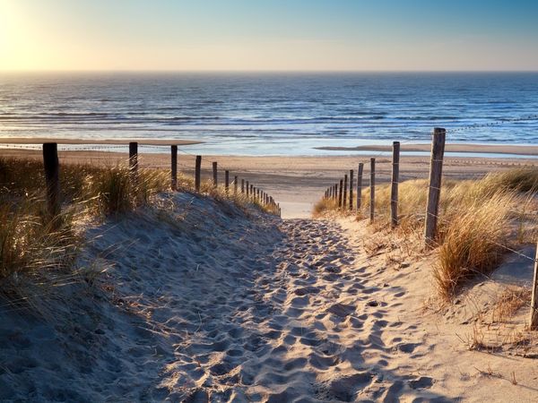 4 Tage Adventszauber zwischen Schlei und Nordsee Hotel Wikingerhof in Kropp, Schleswig-Holstein inkl. Halbpension Aktuelle Nordseereisen online kaufen