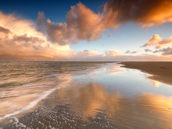 5 Tage im NH Noordwijk mit Frühstück NH Noordwijk Conference Centre Leeuwenhorst Hotel in Noordwijkerhout, Südholland (Zuid-Holland) inkl. Frühstück Aktuelle Nordseereisen online kaufen 5 Tage im NH Noordwijk mit Frühstück NH Noordwijk Conference Centre Leeuwenhorst Hotel in Noordwijkerhout, Südholland (Zuid-Holland) inkl. Frühstück Aktuelle Nordseereisen online kaufen