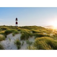 7 Tage im Sporthotel Bloemfontein mit Frühstück Sporthotel Bloemfontein in Borkum, Niedersachsen inkl. Frühstück Aktuelle Nordseereisen online kaufen 7 Tage im Sporthotel Bloemfontein mit Frühstück Sporthotel Bloemfontein in Borkum, Niedersachsen inkl. Frühstück Aktuelle Nordseereisen online kaufen