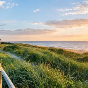 The Art of Föhr - 4 Tage Insel-Kultur Hotel Waastwinj in Utersum, Schleswig-Holstein inkl. Halbpension Aktuelle Nordseereisen online kaufen The Art of Föhr - 4 Tage Insel-Kultur Hotel Waastwinj in Utersum, Schleswig-Holstein inkl. Halbpension Aktuelle Nordseereisen online kaufen